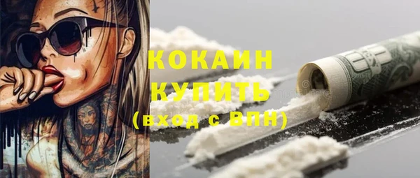 хмурый Алзамай